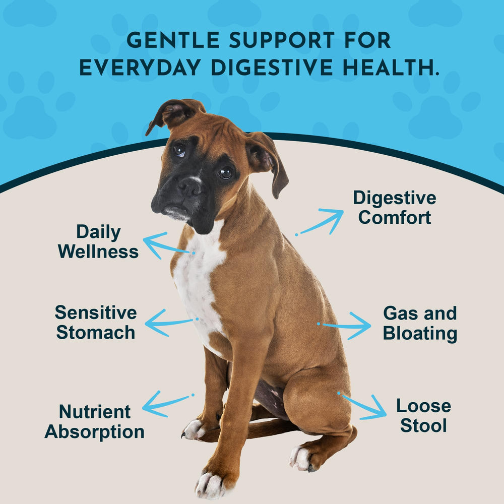 Animal Essentials daily-digestion-dogs-cats-liquid-supplement-ginger-root highlights natural ginger content.