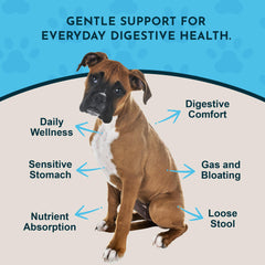Animal Essentials daily-digestion-dogs-cats-liquid-supplement-ginger-root highlights natural ginger content.
