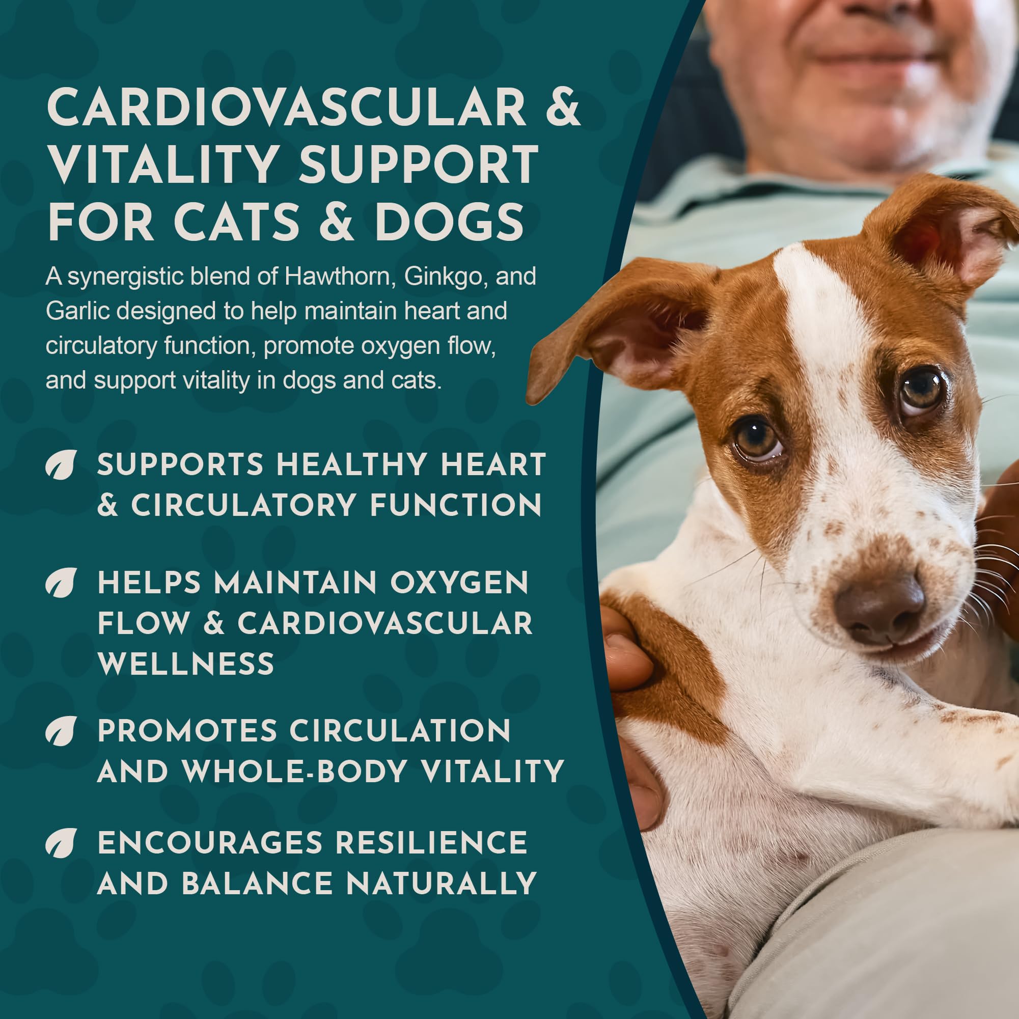 Animal Essentials Heart Health senior-pet display emphasizes aging pet care.