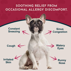 Animal Essentials licorice tincture closeup highlights plant-based respiratory support potential.