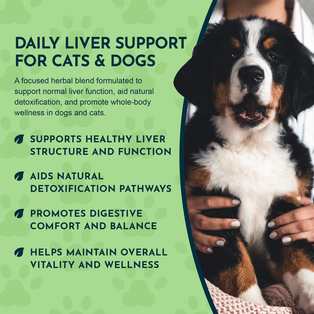 Dandelion herb included in Animal Essentials Liver Defense supports herbal balance