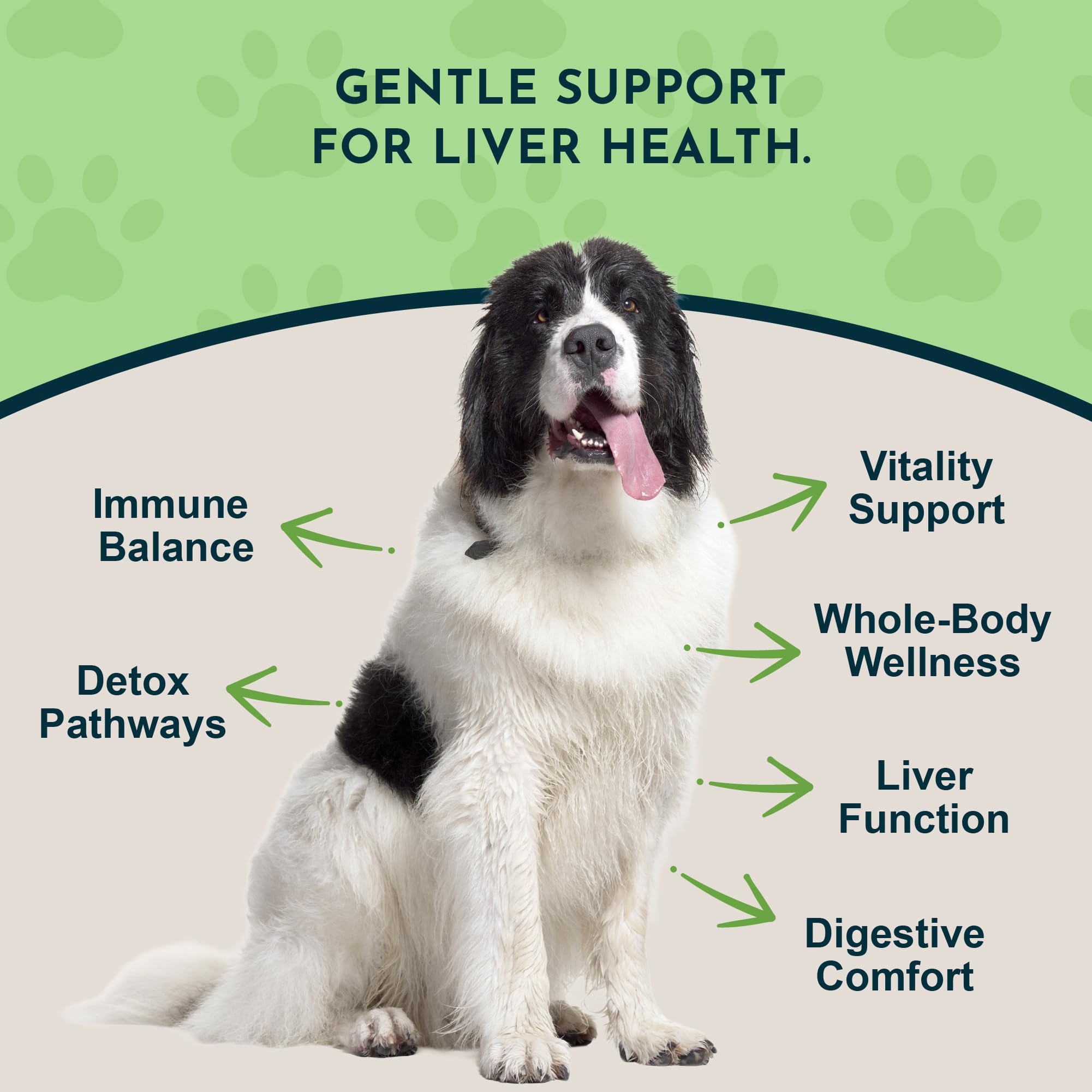 Animal Essentials Liver Defense dropper shows dosing for cats and dogs