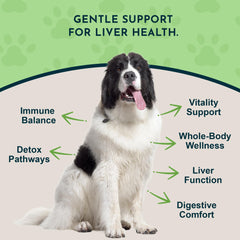 Animal Essentials Liver Defense dropper shows dosing for cats and dogs