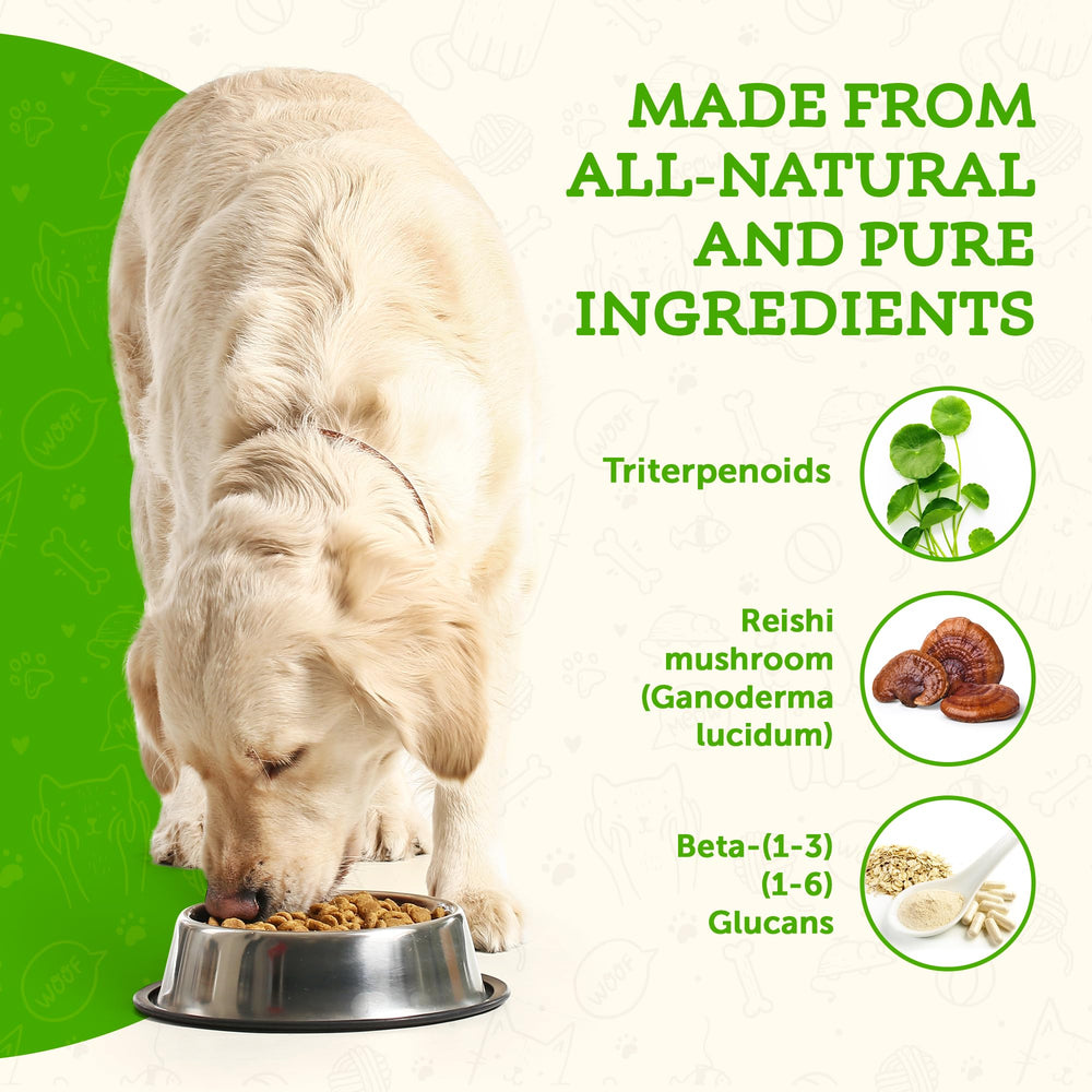 Animal Essentials LONGEVITY Reishi dog serving demonstrates simple daily wellness boost