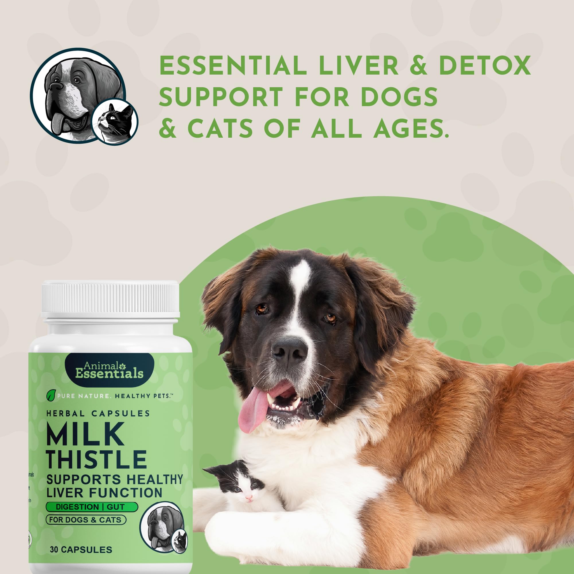 Animal Essentials Milk Thistle dosage guide image helps owners administer capsules confidently.