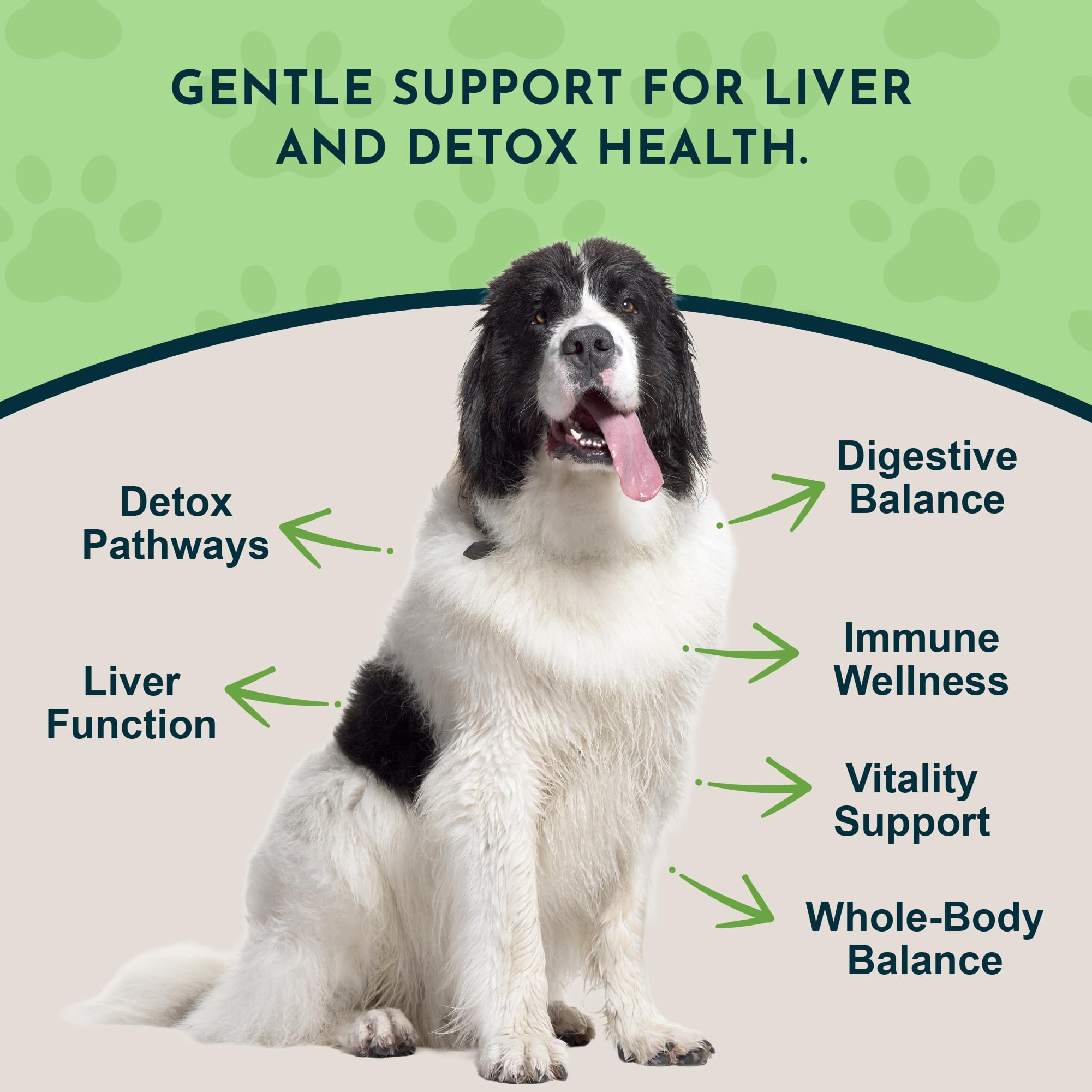 Animal Essentials Milk Thistle label emphasizes product details and 150mg silymarin.