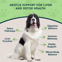 Animal Essentials Milk Thistle label emphasizes product details and 150mg silymarin.