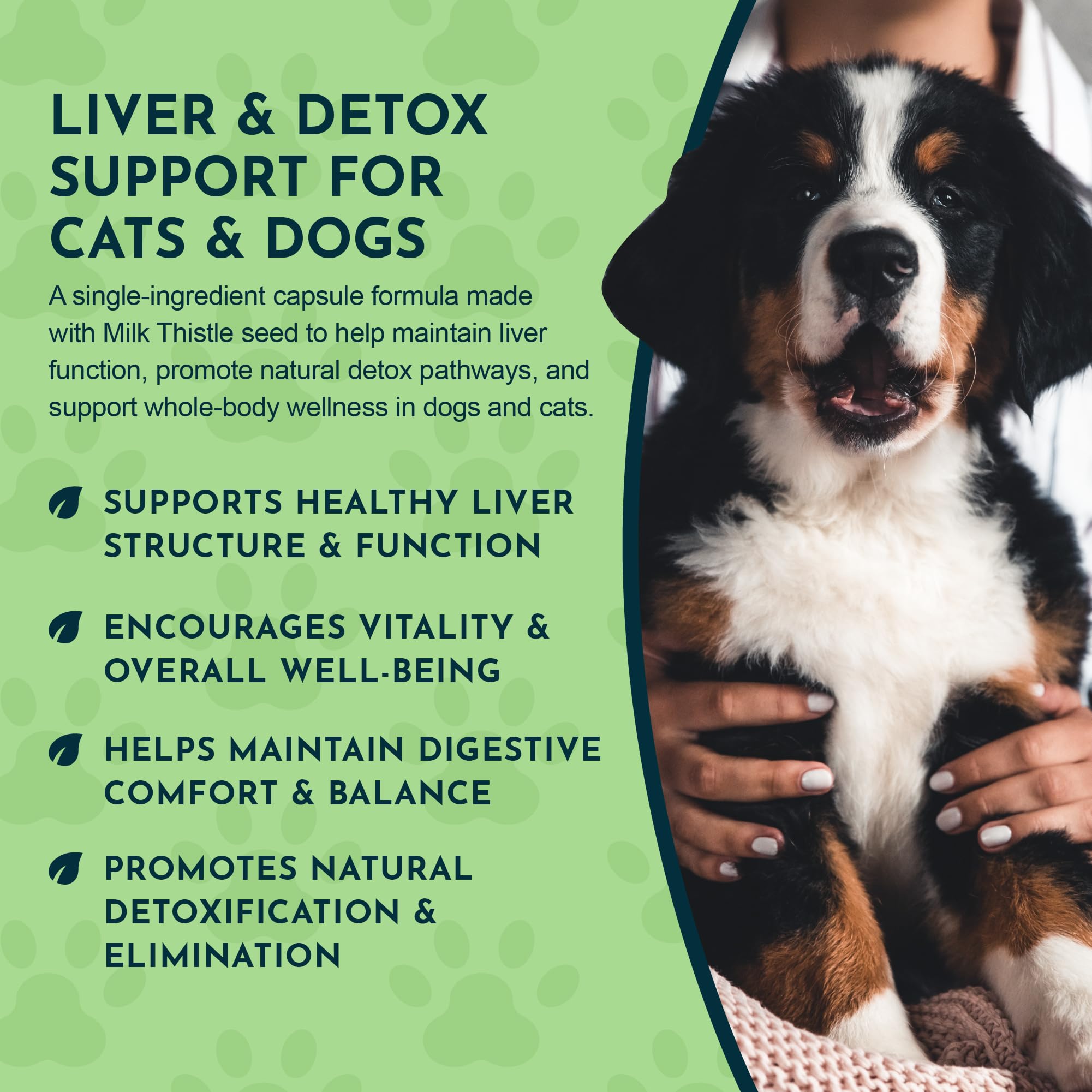 Animal Essentials Milk Thistle veterinarian-recommendation image reinforces trusted pet care guidance.