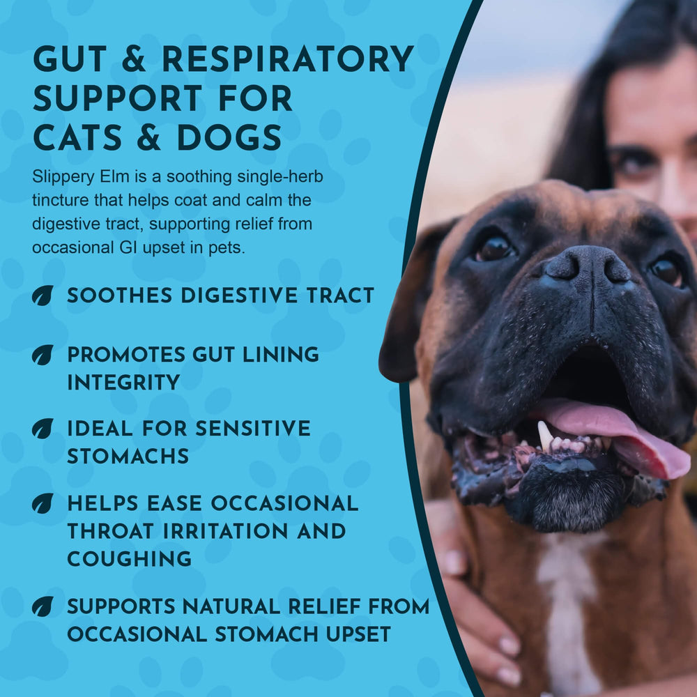 Animal Essentials Slippery Elm for dogs and cats supports digestive comfort