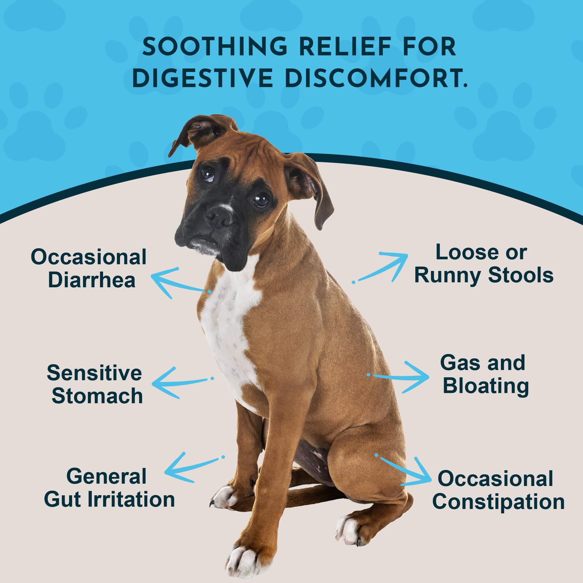 Animal Essentials Slippery Elm drops pour demonstrates convenient liquid gut support