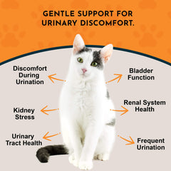 Animal Essentials Tinkle Tonic dropper dispensing shows easy dosing for pets
