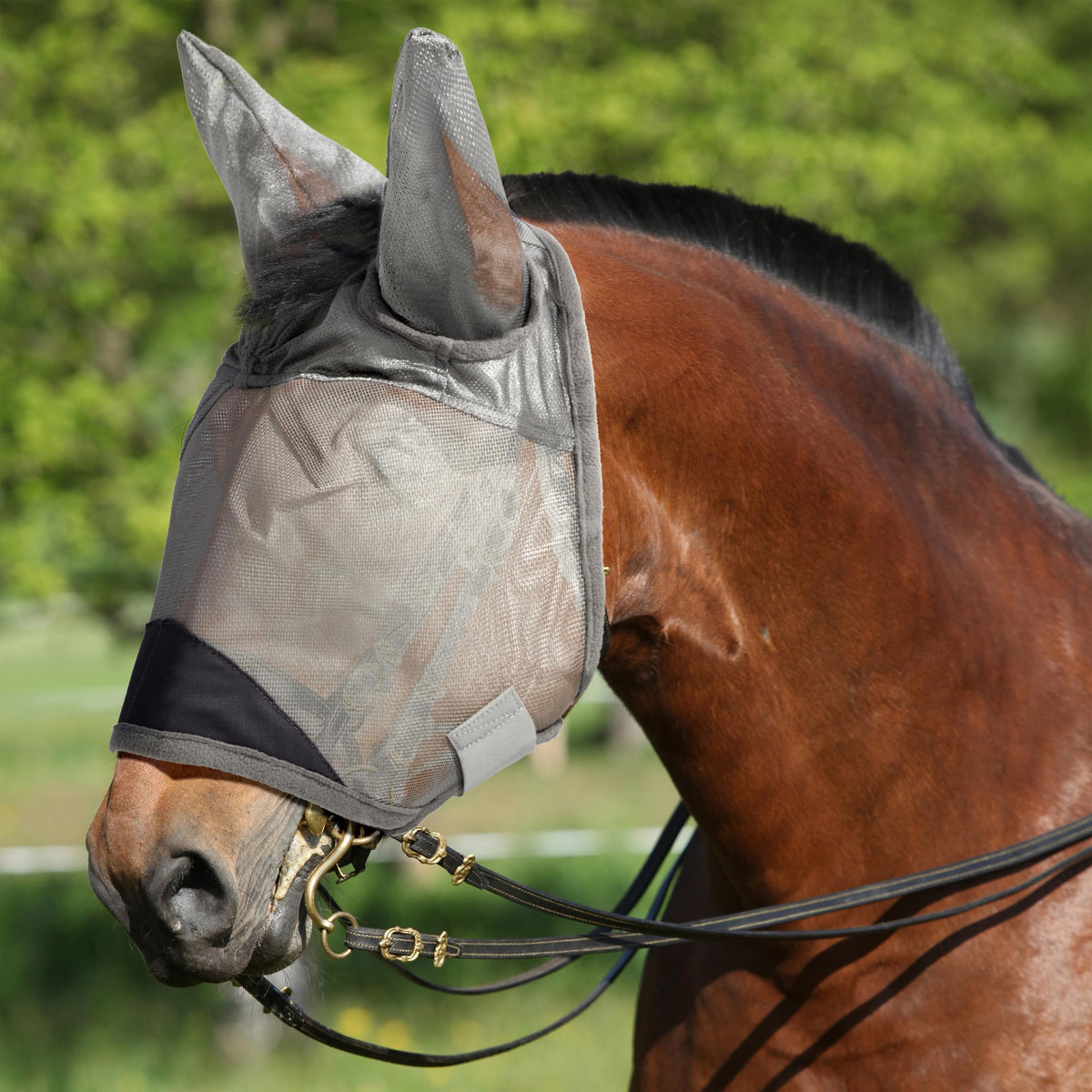 Animal-Gifts horse fly mask gray XS front view with clear vision and protection