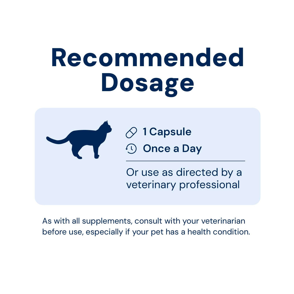 Cat-friendly KittyBiome with probiotic supplement added to treats.