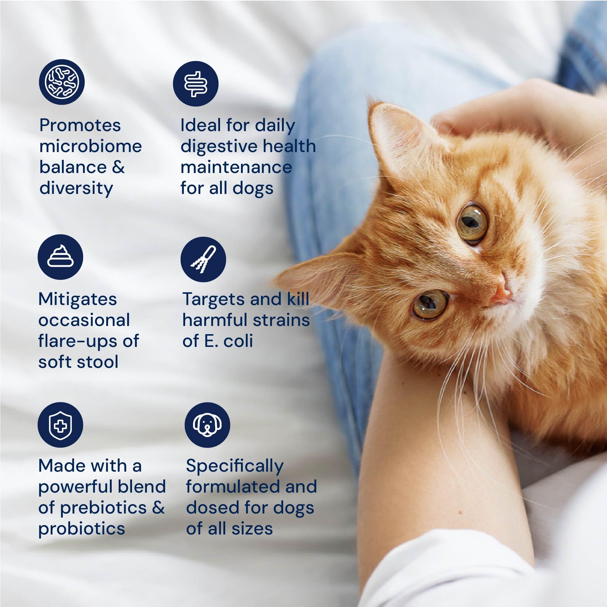 AnimalBiome KittyBiome label highlights S. boulardii probiotic yeast.