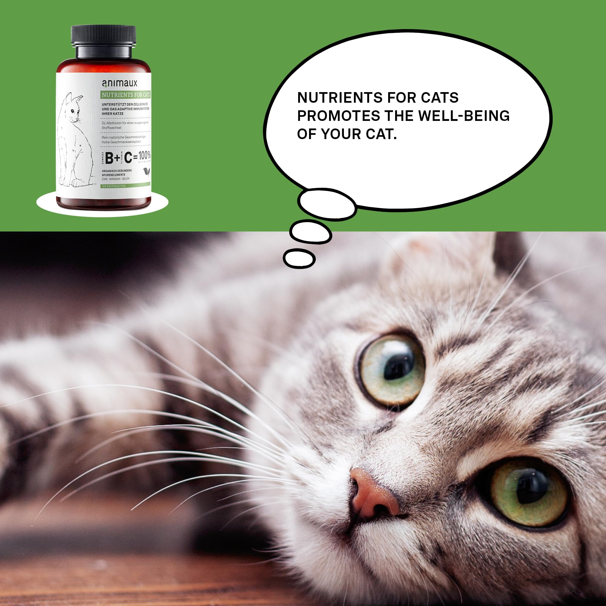 animaux nutrients for cats age usage: suitable for kittens and older cats
