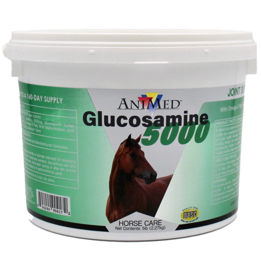 ANIMED Glucosamine 5000 bottle highlights joint support blend for horse mobility and comfort.