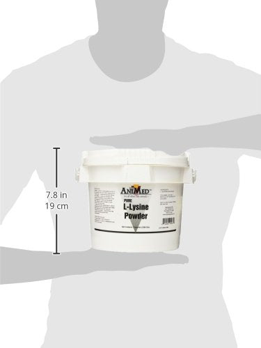 ANIMED L-Lysine for Horses shows feeding context to support diet protein and weight gain.