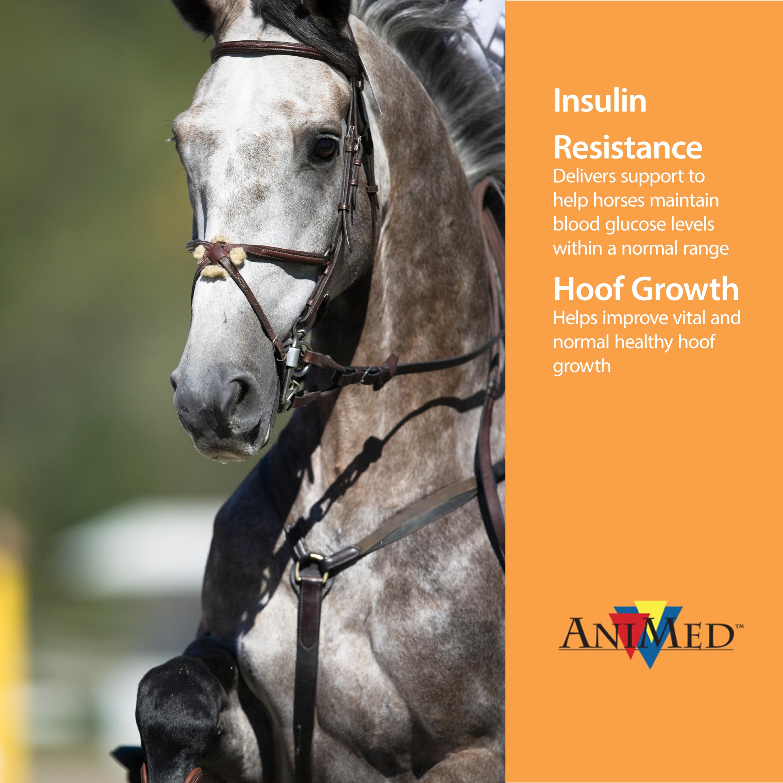 ANIMED Remission 10 lb bag back, emphasizes product details for easy daily use.