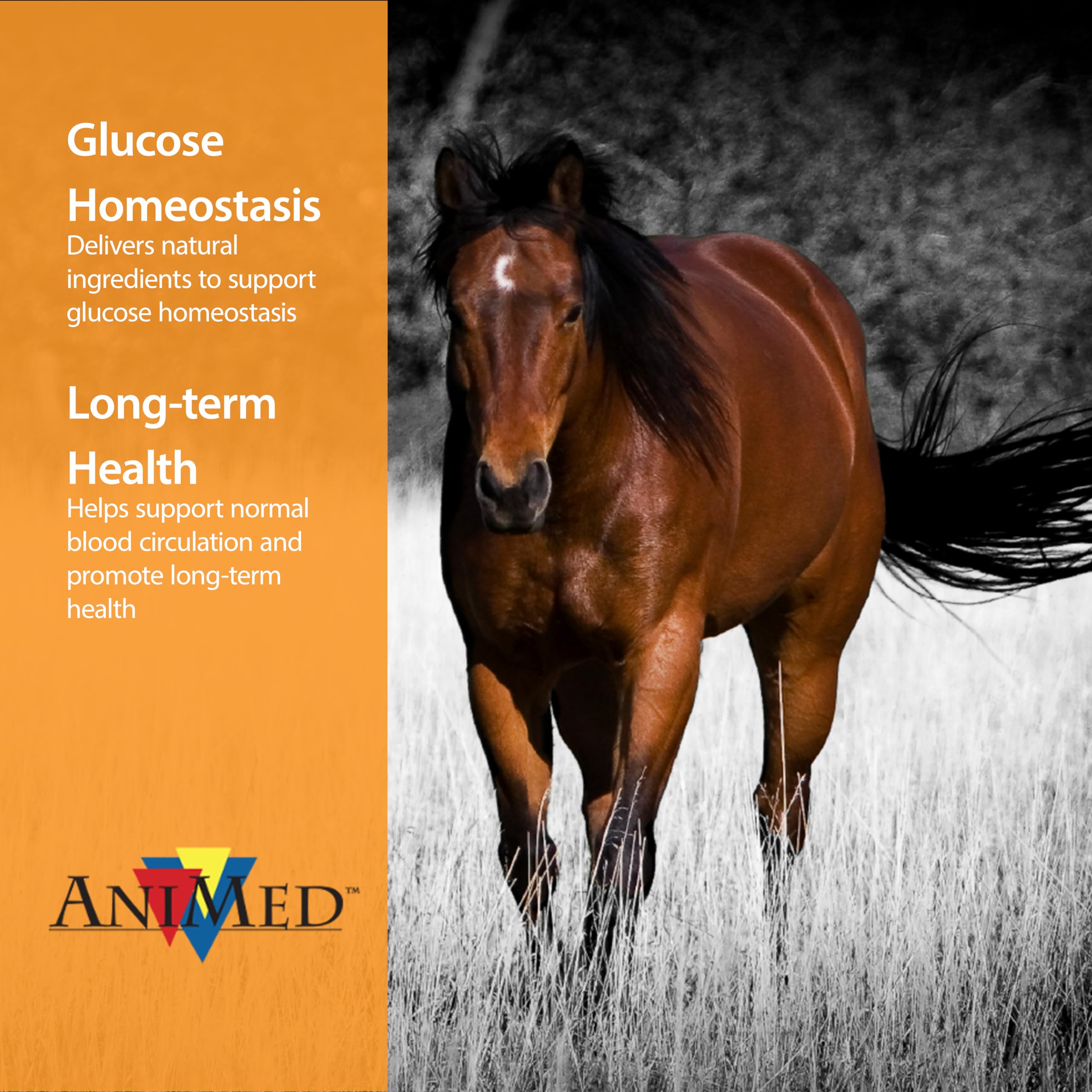 ANIMED Remission 10 lb close-up label underscores quality ingredients for pet wellness.
