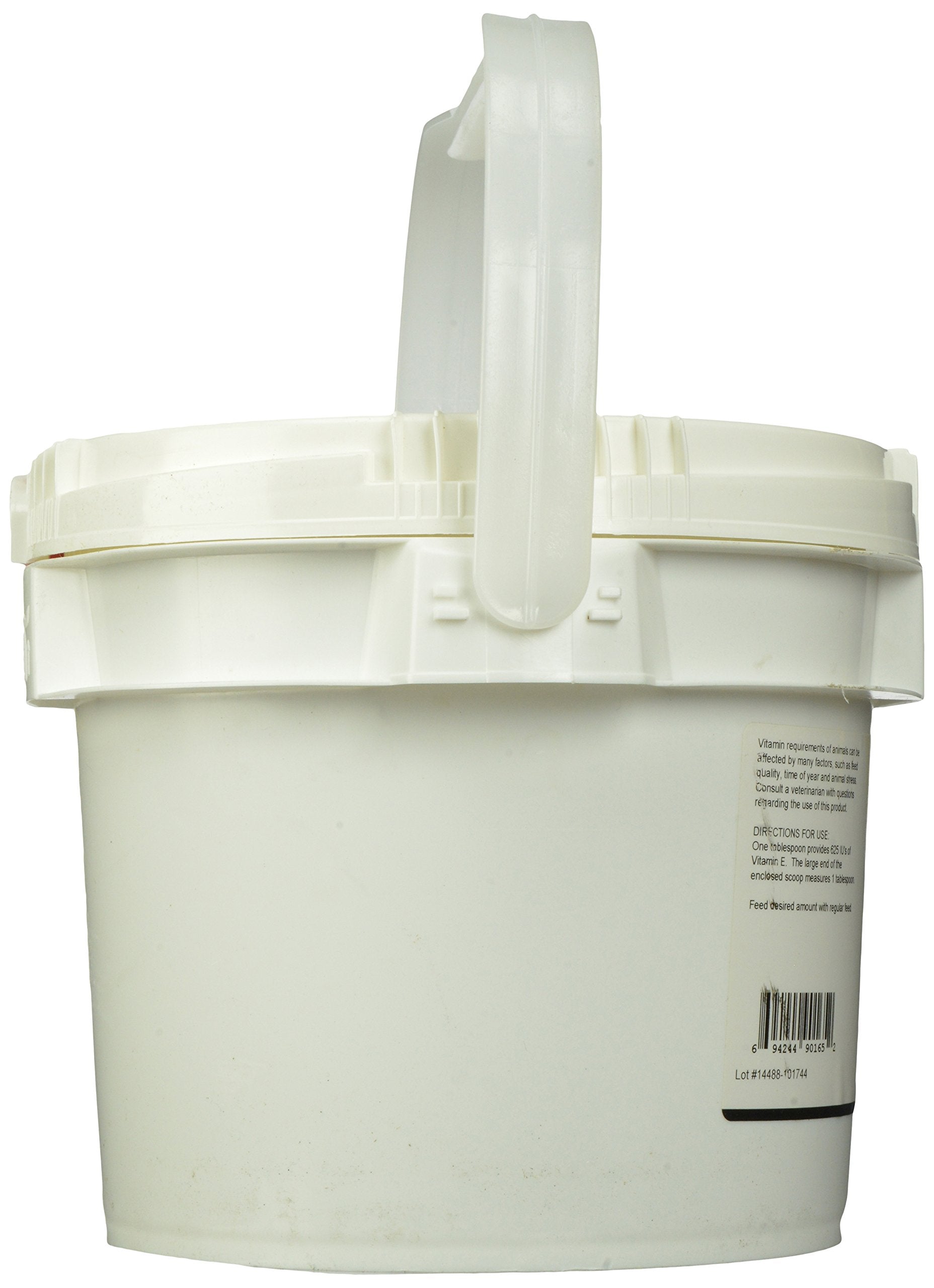 ANIMED Vitamin E Powder in dog food mix for daily supplementation.