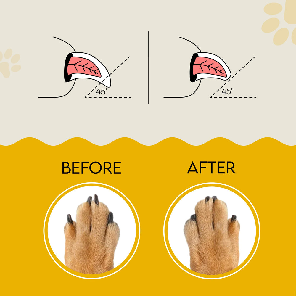 AnimoGoods cat nail file board provides safe, gentle feline nail maintenance.
