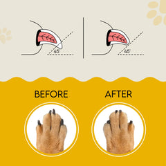 AnimoGoods cat nail file board provides safe, gentle feline nail maintenance.