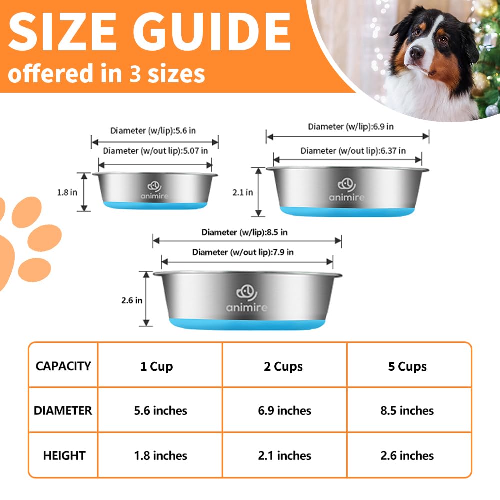 Animire different sizes 1 cup 2 cups 5 cups dog bowl set for multiple breeds.