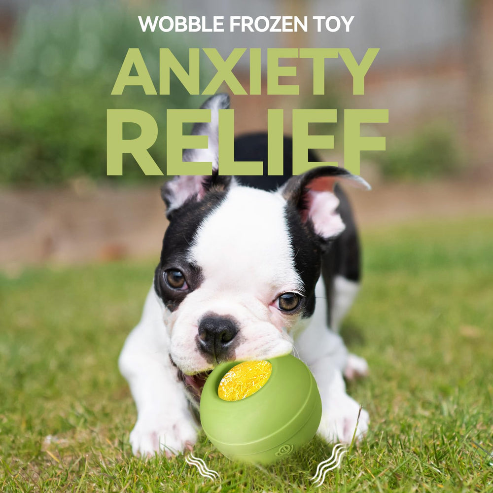 Animire dishwasher-safe cleanup keeps the toy ready for next play.