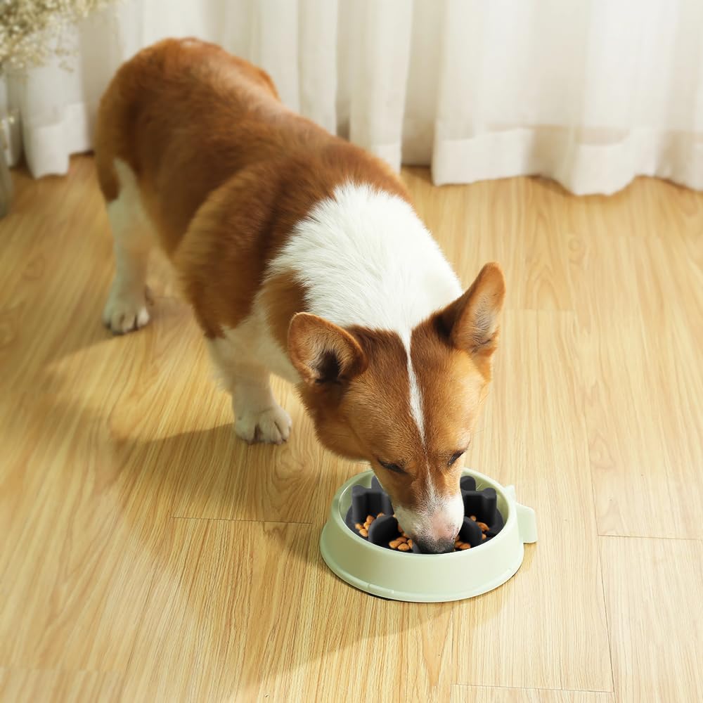 Animire dishwasher-safe design enables quick cleanup after meals.