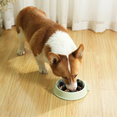 Animire dishwasher-safe design enables quick cleanup after meals.