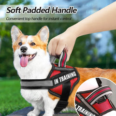 Animire patches in-training close-up highlights clear training messaging.