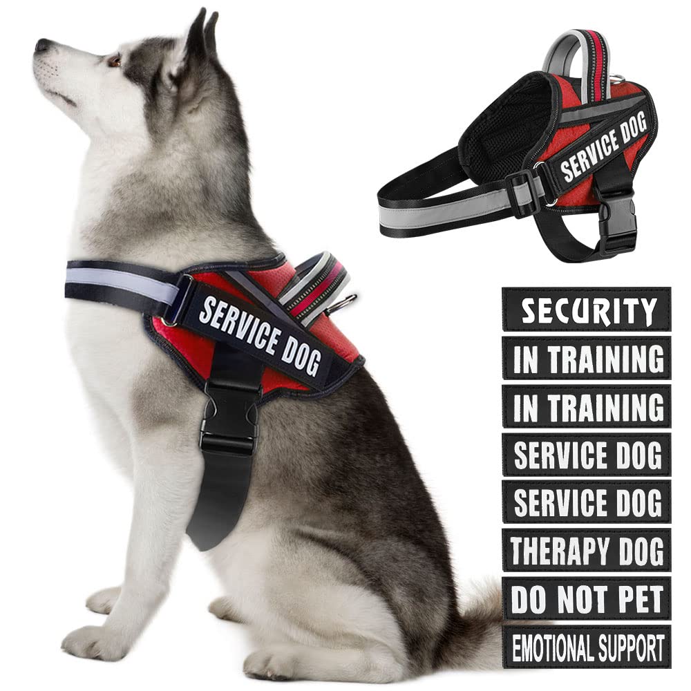 Animire dog vest harness front view shows adjustable chest fit for comfort.