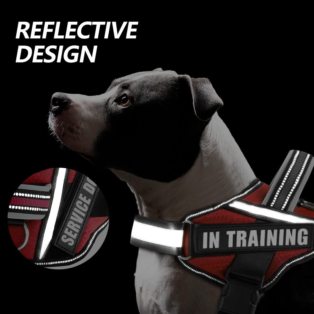 Animire vest reflective strips at night for enhanced visibility.