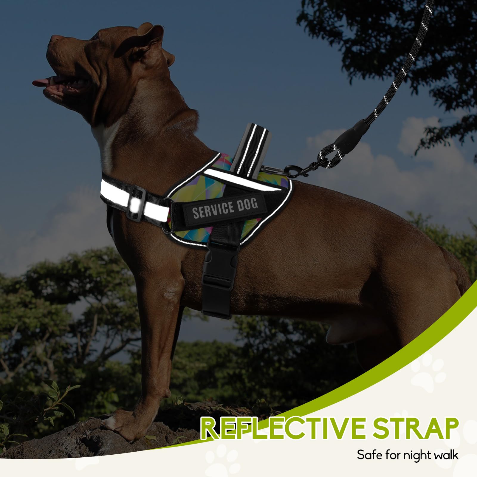 Animire durable nylon harness ensures everyday wear with breathable padding.