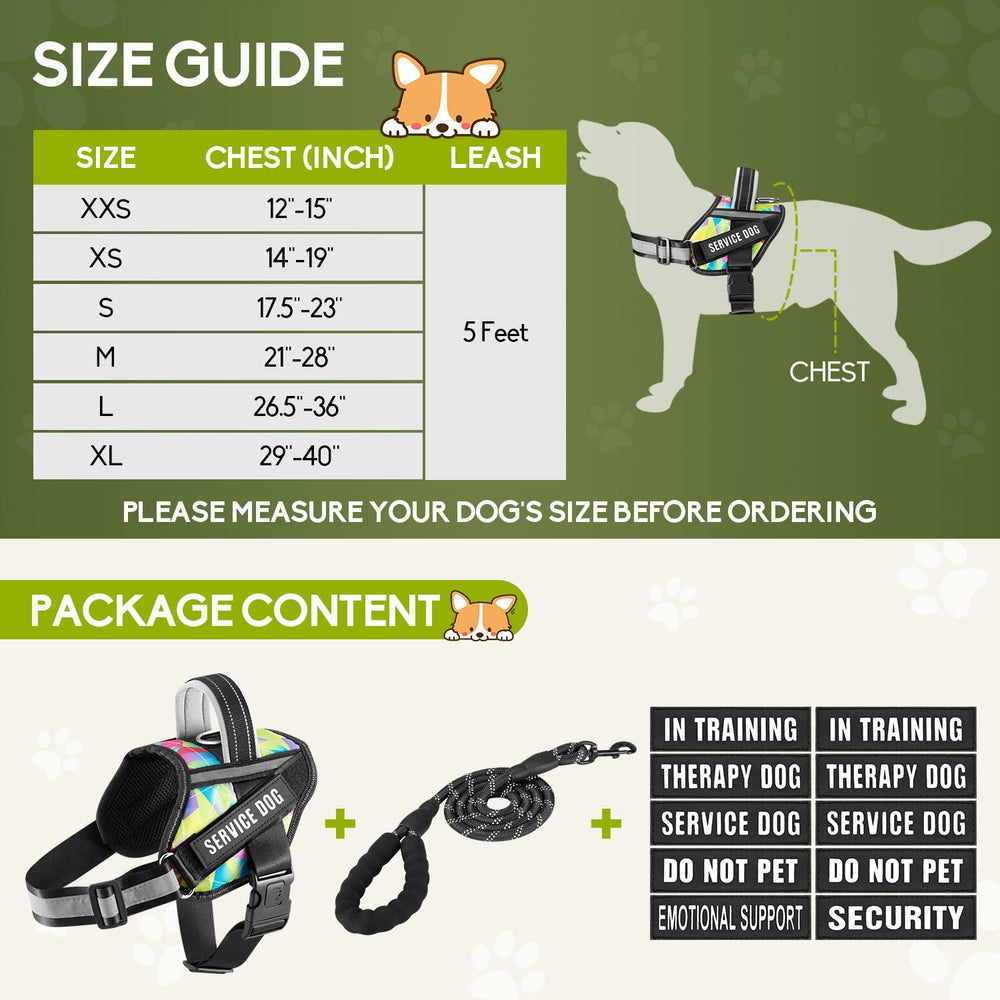 Animire five-foot reflective leash provides controlled, steady guidance during outings.