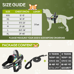 Animire five-foot reflective leash provides controlled, steady guidance during outings.