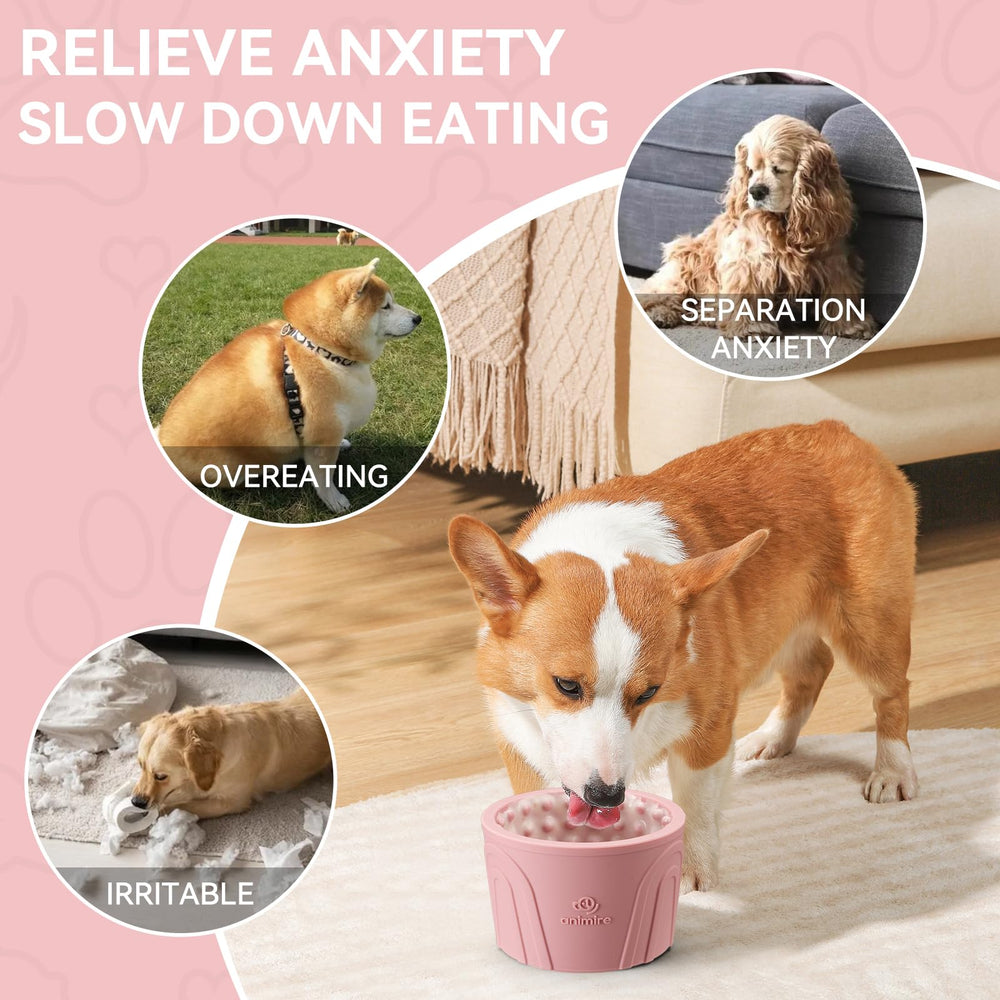 Animire compatible with wet raw and kibble meals for variety