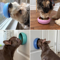 Animire non-slip lick bowl suction base on a kitchen floor keeps it steady