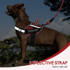 Animire patches pack of Velcro patches to indicate training status and roles