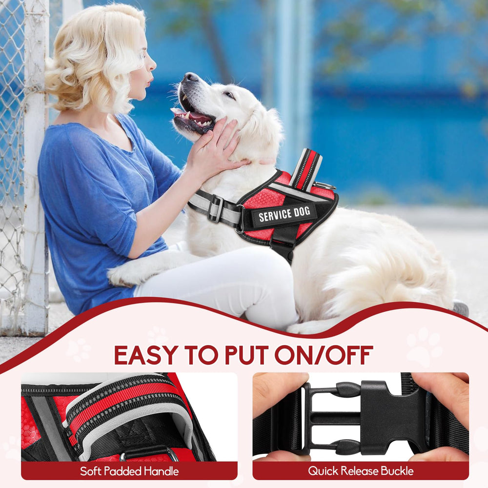 Animire reflective dog leash enhances nighttime visibility and safety.