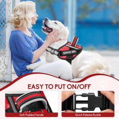 Animire reflective dog leash enhances nighttime visibility and safety.