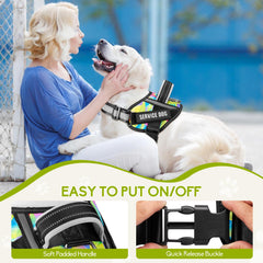 Animire reflective strip leash highlights nighttime visibility for safer walks.