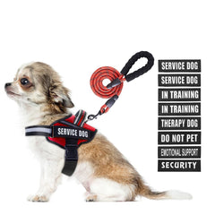 Animire service dog harness with patches showing signaling signals for training and safety.