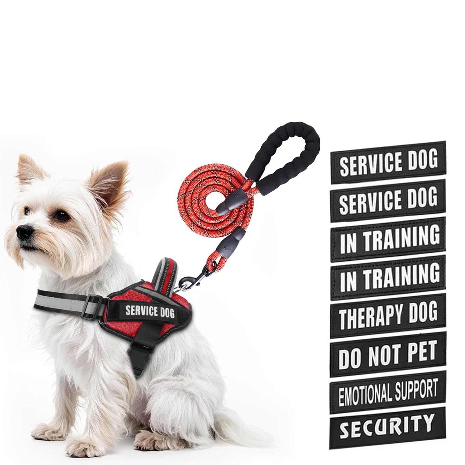 Animire service dog vest harness shown on dog for daily training and control