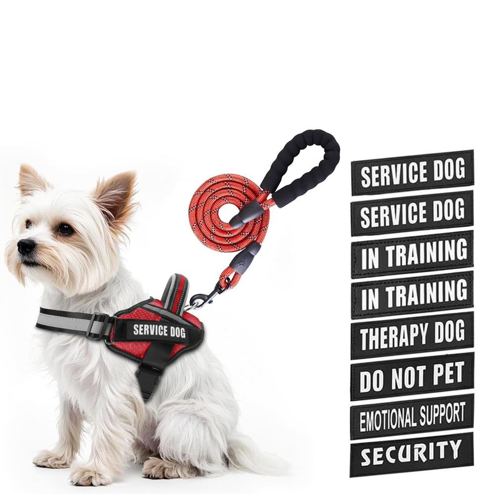 Animire service dog vest harness shown on dog for daily training and control