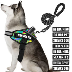 Animire service dog vest harness demonstrates secure fit for daily training.
