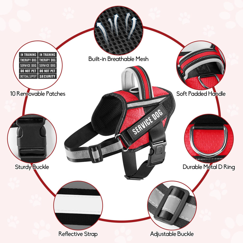 Animire size chart helps fit dogs from XS to XL for accurate sizing.