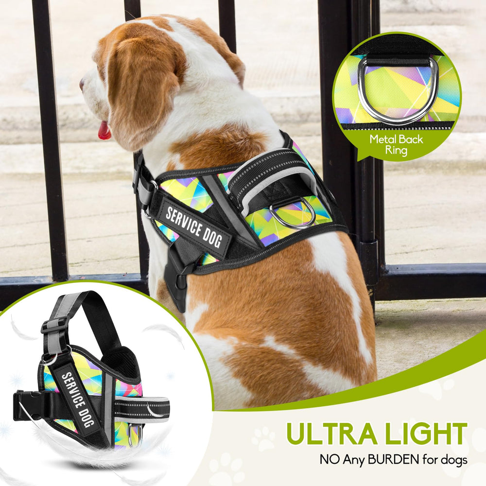 Animire soft-handle leash reduces hand strain on long training sessions.