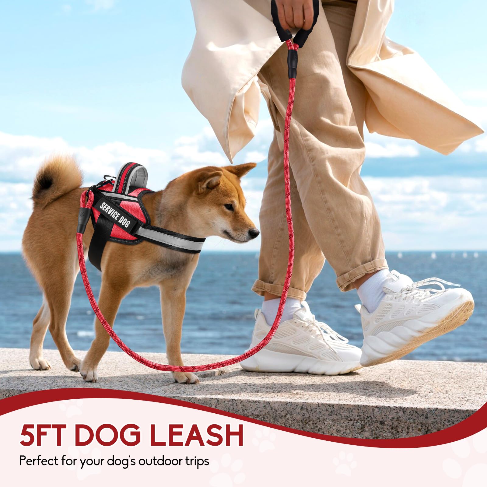 Animire soft padded handle on leash provides comfortable grip during walks.