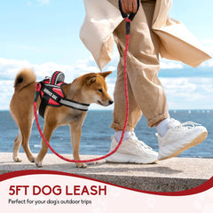 Animire soft padded handle on leash provides comfortable grip during walks.